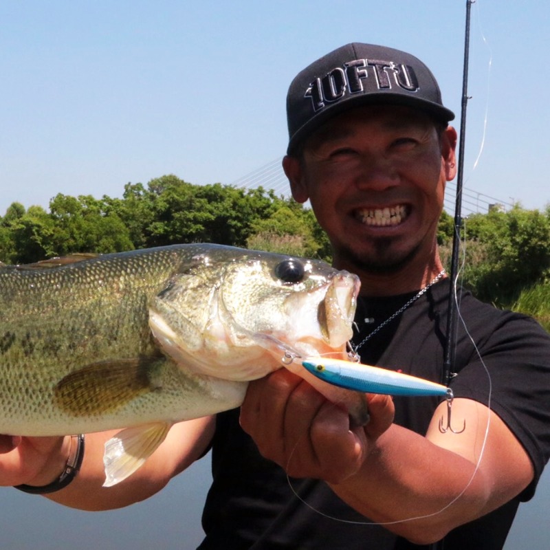 fishingvision's tweet photo. ＼\ #釣りビジョンVOD 特集 /／

⛅梅雨こそバスの最盛期☔
スタッフ激推し梅雨バス攻略傑作選‼
☞https://t.co/XjjVeSZv4U

定番のトップ＆虫系はもちろん、圧巻のスイムベイト爆釣劇も！

トッププロの梅雨バス攻略 全1⃣5⃣番組！
14日間の無料体験ですぐにご覧頂けます💁‍♂️

#バス釣り
