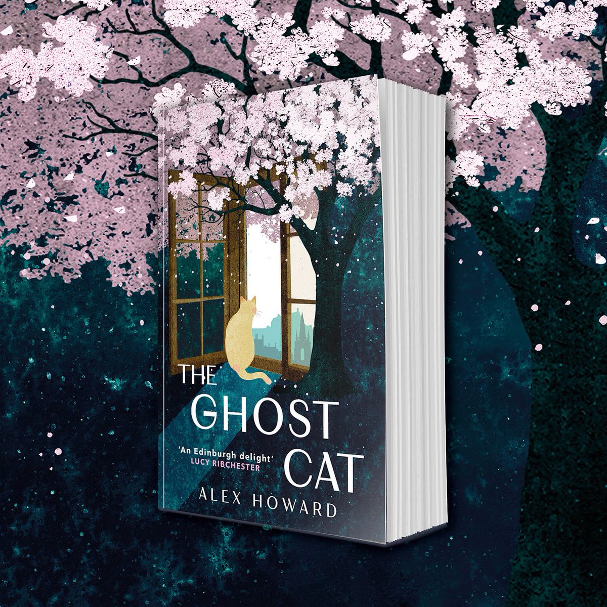 alexwritings's tweet photo. Absolutely STOKED to reveal the delicious, ethereal and otherworldly UK paperback cover of THE GHOST CAT!

Out August 1st (along with some more exciting news — stay tuned!) Available from all good bookstores. Pre-order link in bio. 

#TheGhostCat #booktok #brass #authors #diy https://t.co/myRYArYC6M