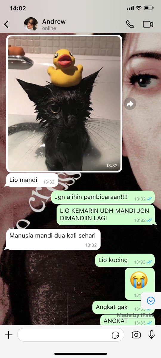 Mau makan apa malah jadi ngurusin kucing. 😺

Andrew Anita, few tweet wonbin &amp; joy au