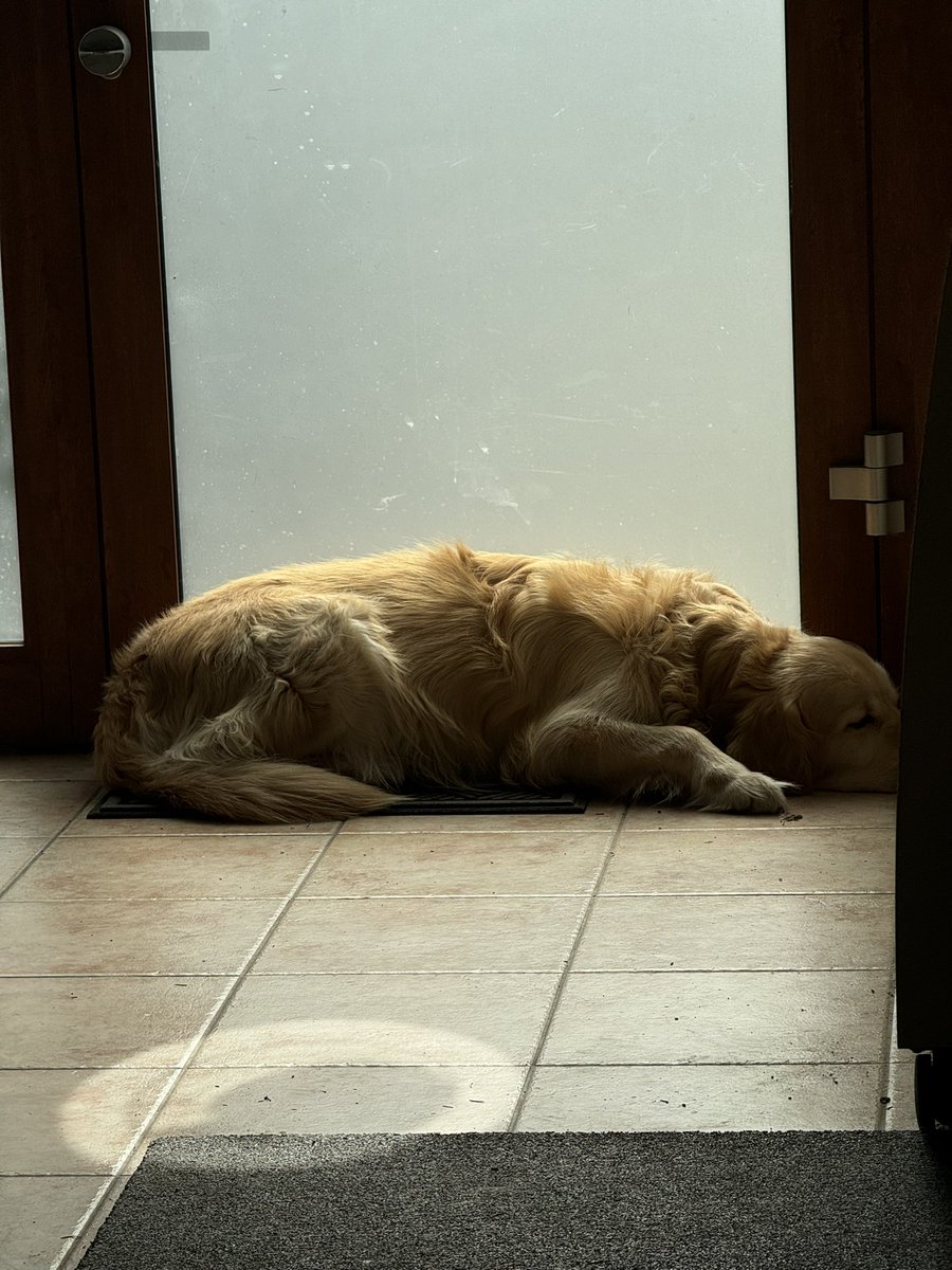 Adam Najmanowicz tweet media