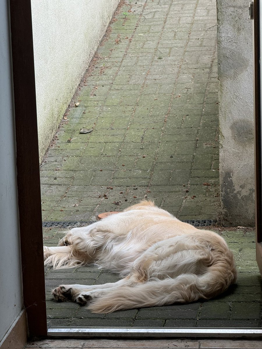 Adam Najmanowicz tweet media