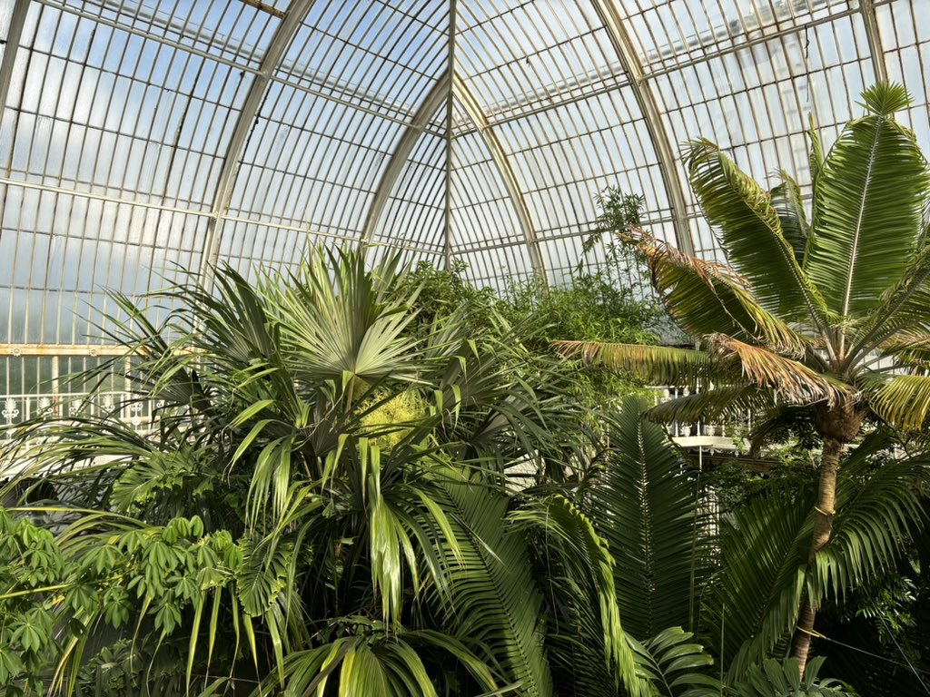 Prof Thalia Eley 💙 (@thaliaeley) on Twitter photo Very special outing to Kew Gardens to celebrate <a href="/edit_lab/">EDIT Lab KCL</a> & <a href="/TedsProject/">TEDS</a> teams winning the <a href="/KingsIoPPN/">Institute of Psychiatry, Psychology & Neuroscience</a> Open Science award. Particularly enjoyed visiting the #DNA helix sculpture. Great to have our two visitors <a href="/Madhur_B_Singh/">Madhur Bain Singh</a> and <a href="/Britt_Mitchell1/">Brittany Mitchell</a> with us too. <a href="/SGDPCentreKCL/">SGDP Centre KCL</a> Very special outing to Kew Gardens to celebrate <a href="/edit_lab/">EDIT Lab KCL</a> & <a href="/TedsProject/">TEDS</a> teams winning the <a href="/KingsIoPPN/">Institute of Psychiatry, Psychology & Neuroscience</a> Open Science award. Particularly enjoyed visiting the #DNA helix sculpture. Great to have our two visitors <a href="/Madhur_B_Singh/">Madhur Bain Singh</a> and <a href="/Britt_Mitchell1/">Brittany Mitchell</a> with us too. <a href="/SGDPCentreKCL/">SGDP Centre KCL</a>