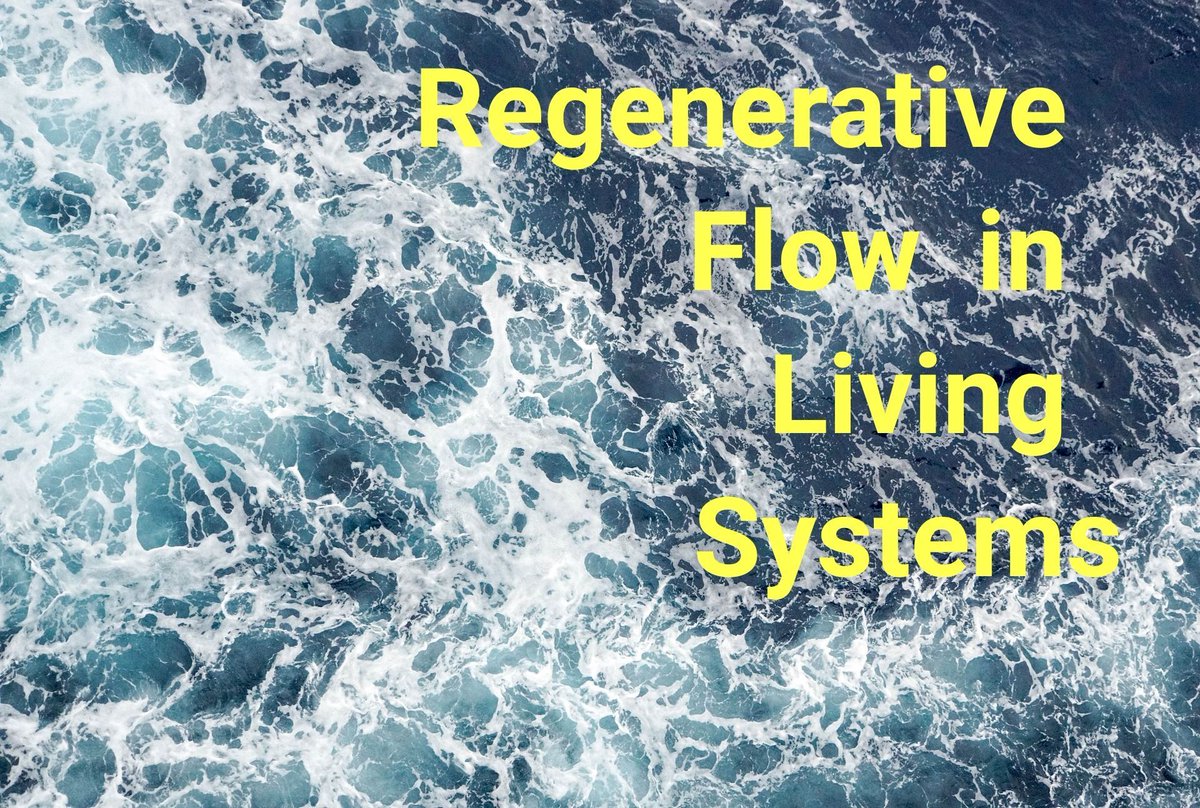 During Co-Creating Regenerative Cultures, we explored Regenerative Flow in Living Systems w/ Curtis Ogden via Sally Goerner. I found it compelling to sense how science could support life aligned systems change; Follow me for updates &amp; newsletter &amp; website buff.ly/3yQ4rVh