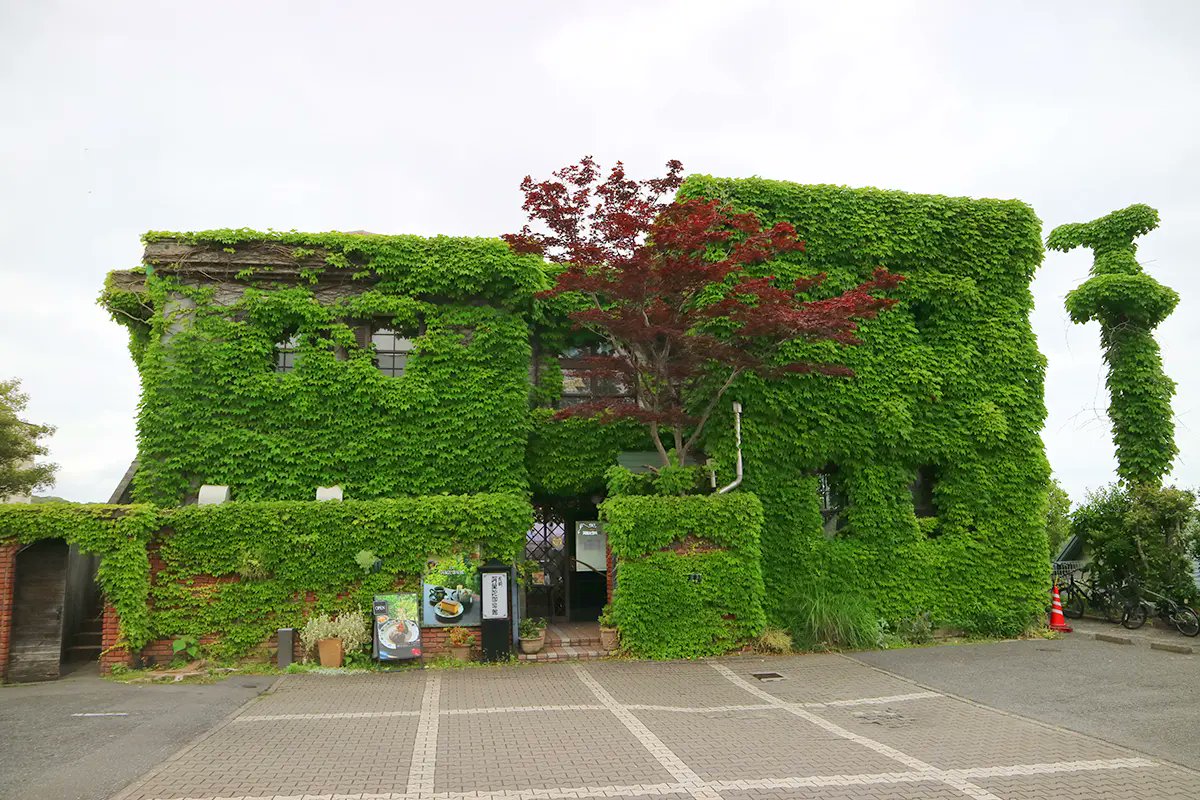 Fukuoka_leapup's tweet photo. 【ジブリ感溢れるレトロ喫茶】
長崎＆オランダの異国情緒を味わえる「長崎阿蘭陀珈琲館」＠福岡市南区
オススメは長崎ちゃんぽん、カステラやフレンチトーストなどスイーツも充実しています☕️
ツタだらけの外観は圧巻です🌿
https://t.co/ANiYaJdZPb https://t.co/h4NC43uEF3