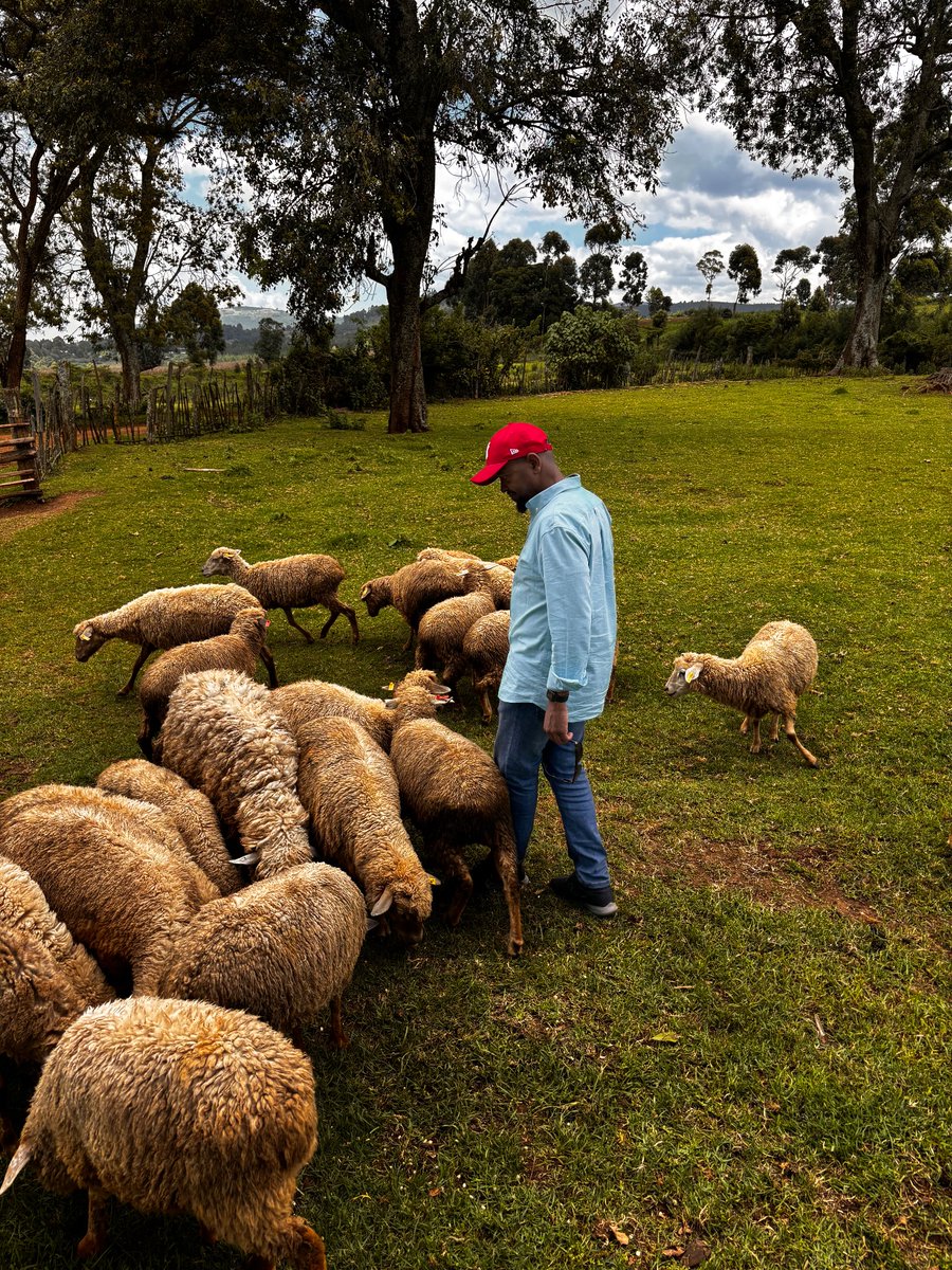 Anthony Mburu (@tonimburu) on Twitter photo 