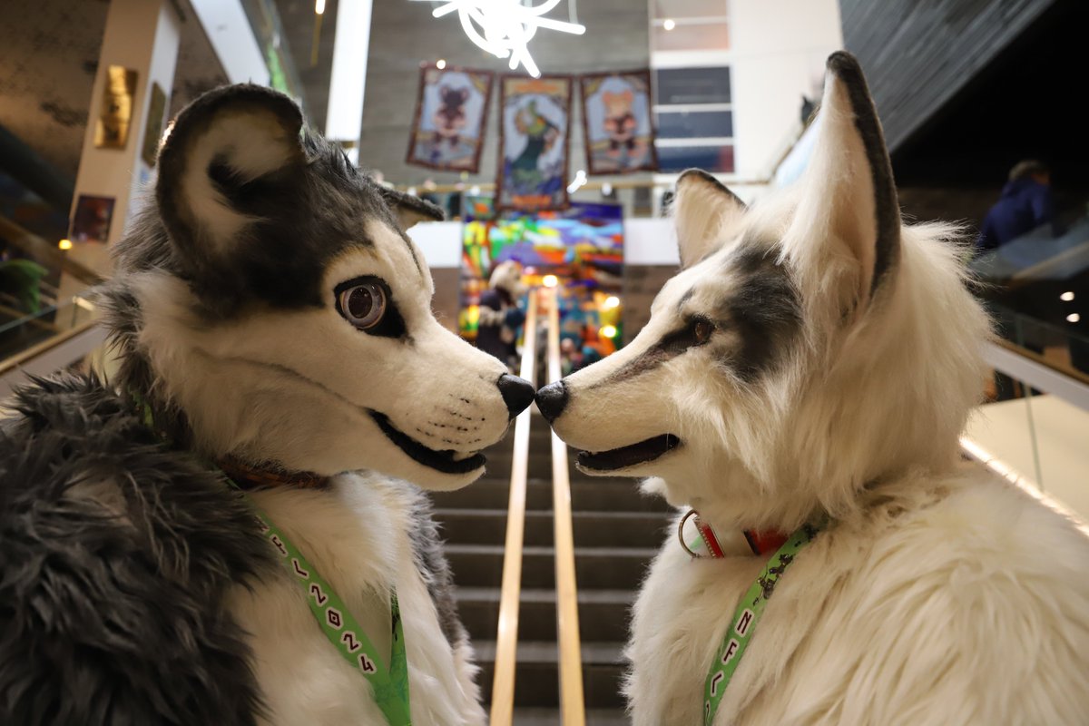 Happy #FursuitFriday in my <a href="/Kitavos_DE/">Kitavos 🇩🇪 🔜 BFD 🇩🇪</a> suit

✂️ <a href="/yurei_kitsune/">Yurei VF 2023</a>
🐺 <a href="/skipp_wolf/">Skippwolf</a>  🩷 ✂️ <a href="/DireCreatures/">DireCreatures</a>
📸 <a href="/burutatsu/">Burutatsu 🇩🇪🇬🇧 🔜BFD, C.A.M.P, EF</a>
🗓 23.02.2024
🏨 <a href="/Clarion_Live/">Clarion Malmö Live</a>
🏙 #Malmö 🇸🇪
🦊 <a href="/NordicFuzzCon/">NordicFuzzCon</a>

#NFC #NFC10 #NFC2024 #NordicFuzzCon #Fursuit #Furry

Follow my Berk-News (TG):
t.me/Berk_News