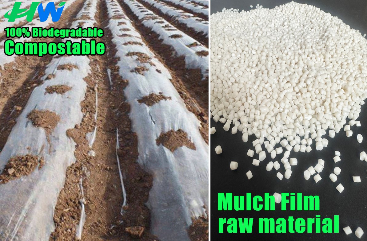 huaweinm6's tweet image. 100% biodegradable modified material can be applied to mulch film without polluting the environment.  After use, it can be converted into natural organic fertilizer to moisturize the soil. 
buff.ly/424kcFg  
#CompostableSolutions #PlasticFree #EnvironmentallyFriendly