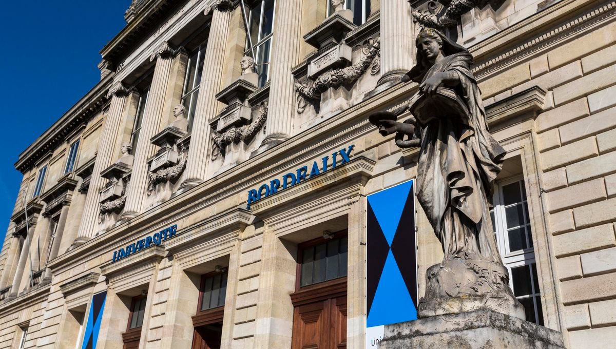 Abrous Lab tweet media