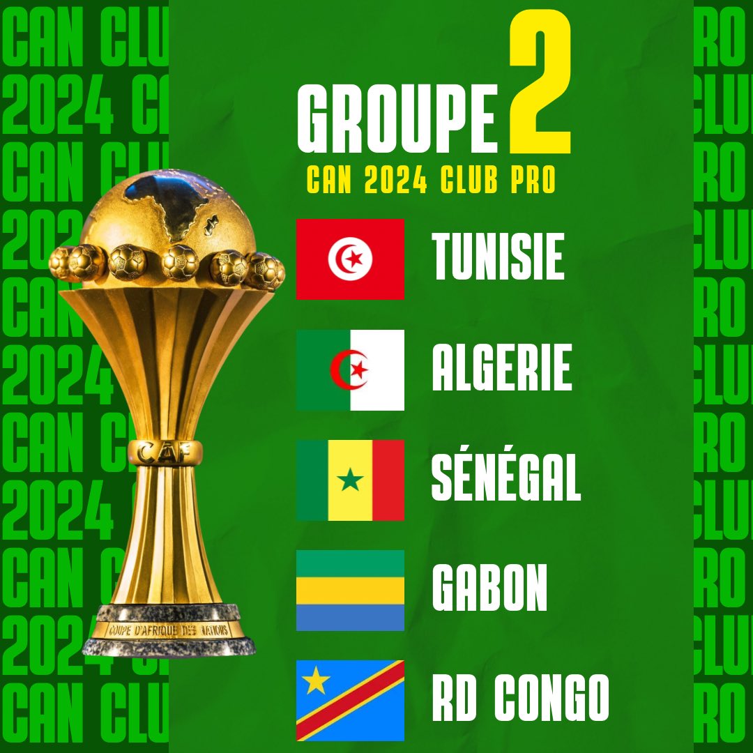 Institut National de Football Virtuel tweet media