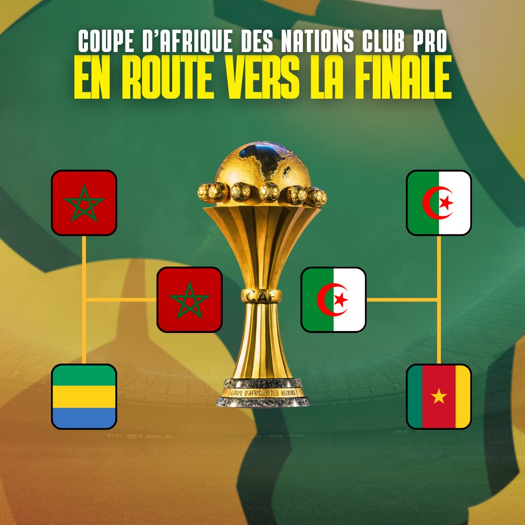 Institut National de Football Virtuel tweet media