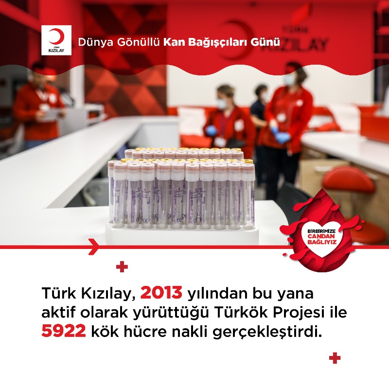Kizilay's tweet photo. Bugün Dünya Gönüllü Kan Bağışçıları Günü! 🌍🩸

Kan veren her bir bağışçımız pelerinsiz bir kahraman! 🦸‍♂️
Çünkü her bir ünite kan, üç can demek. Hayat kurtaran tüm gönüllü kan bağışçılarımıza minnettarız.

#CandanBağlıyız