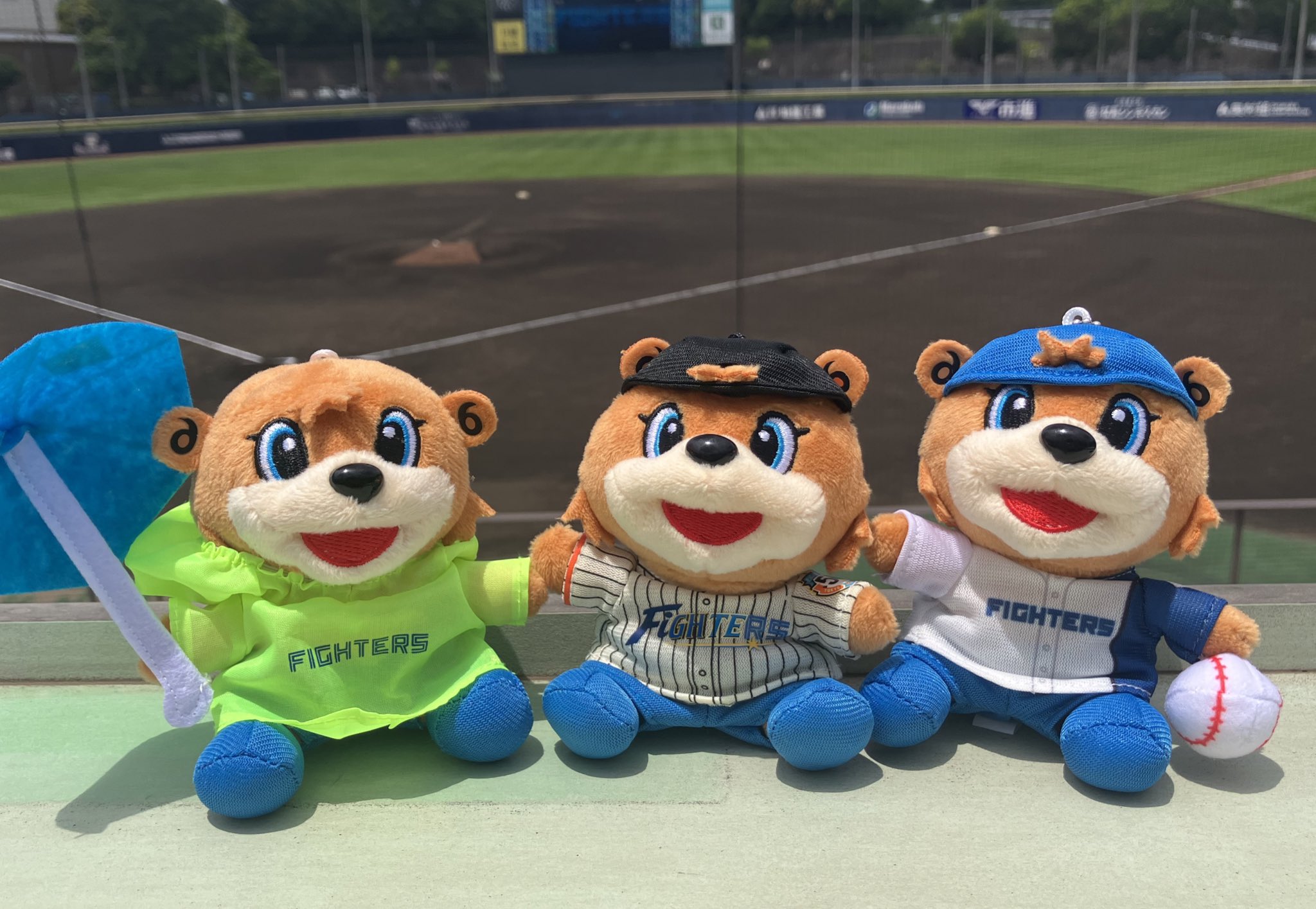 ファイターズ鎌ケ谷スタジアム【公式】 on X: 