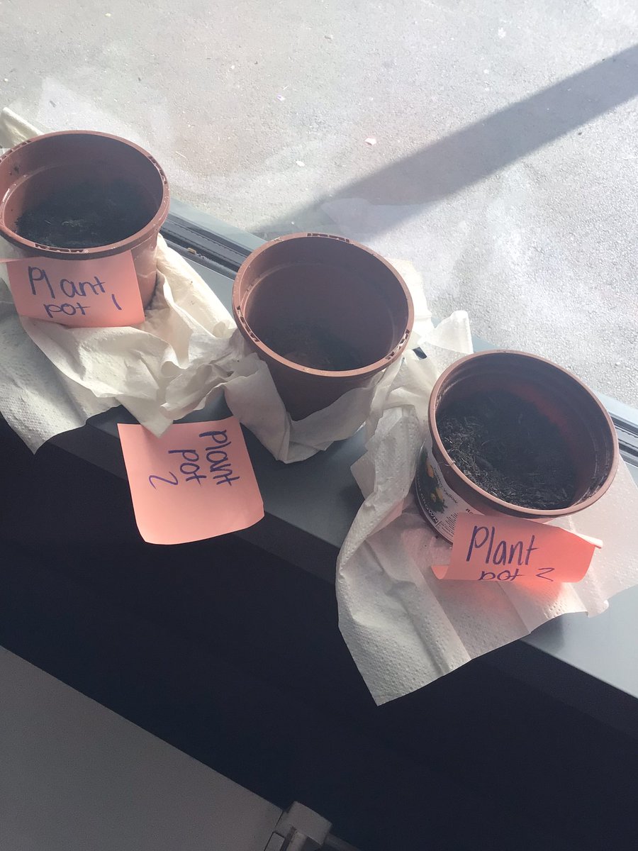 BramblesBeech tweet media