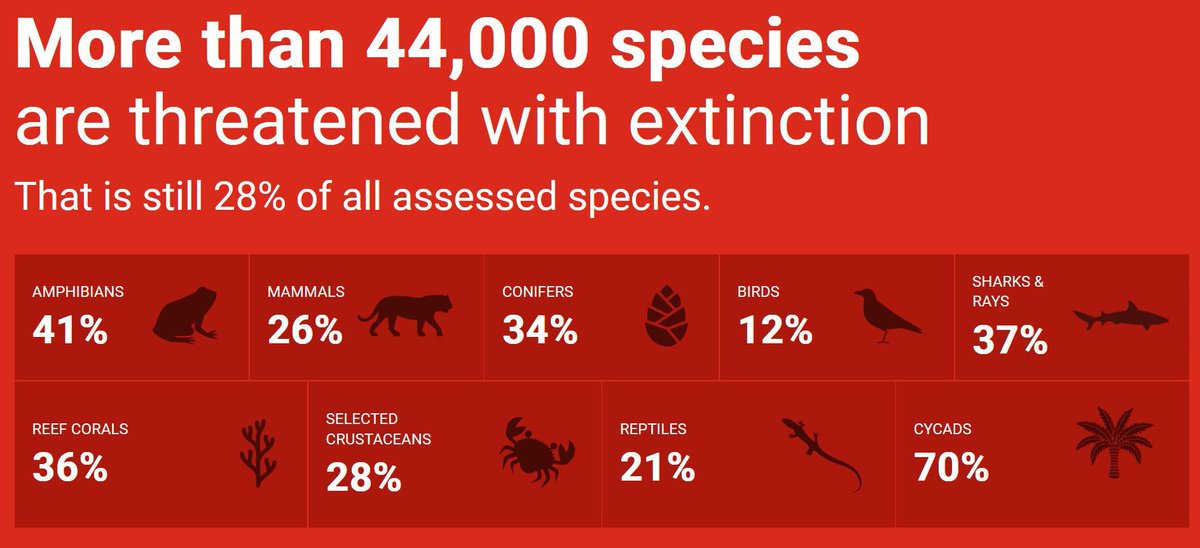 IUCN's tweet image. The number of assessed species on the @IUCNRedList is now 157,190, with over 44,00 threatened with #extinction. The IUCN Red List of Threatened Species™ is a critical indicator of the health of the world’s #biodiversity.
