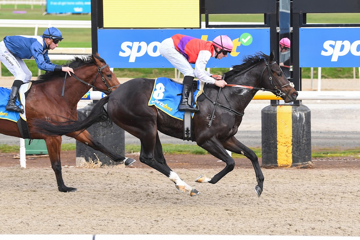 Anthony Freedman Racing tweet media