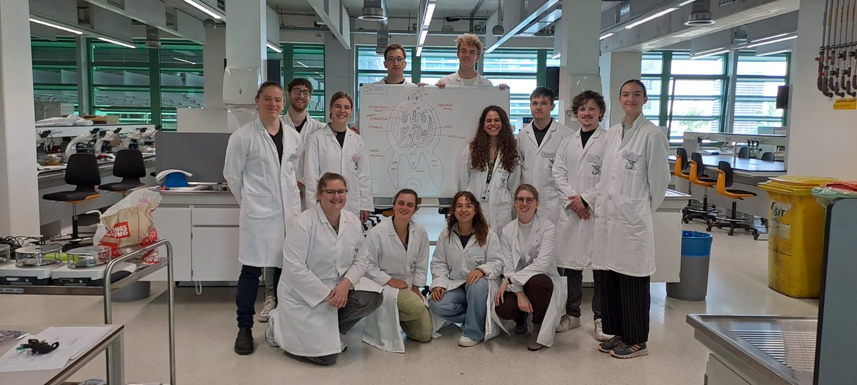 Kolk Neurodevelopment Lab tweet media