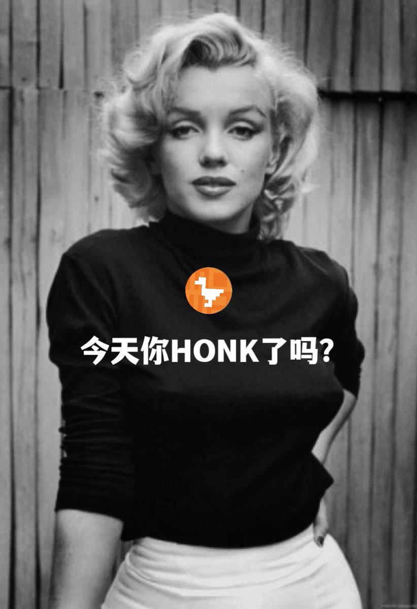 brc20honk's tweet photo. HONK！🪿🪿

$HONK #HONK https://t.co/mXAauXuYQS