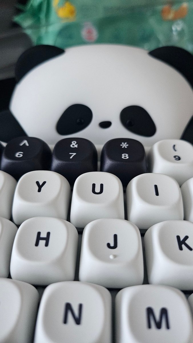판다키보드 눈알마저 귀여움 어케해..❤️🥺❤️