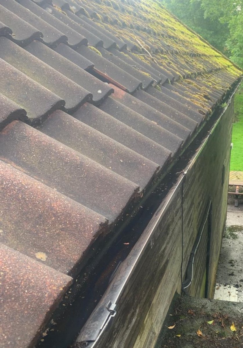 CPL Service Response (@cplgroup) on Twitter photo We tackled severe gutter overgrowth on a client's property, resolving leaks and damage quickly. Another happy client!
Got gutter issues? Call 0800 118 2503, email cpl@cpl-group.co.uk, or visit cpl-group.co.uk.
#PropertyMaintenance #GutterCleaning #FacilityManagement We tackled severe gutter overgrowth on a client's property, resolving leaks and damage quickly. Another happy client!
Got gutter issues? Call 0800 118 2503, email cpl@cpl-group.co.uk, or visit cpl-group.co.uk.
#PropertyMaintenance #GutterCleaning #FacilityManagement