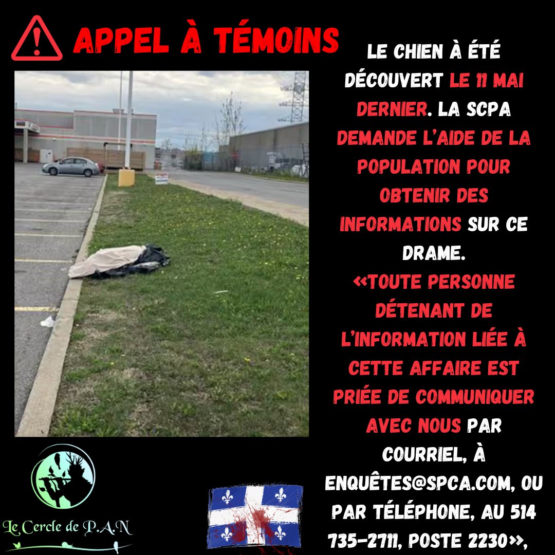 LeCercleDePan's tweet photo. [ ⚠APPEL À TÉMOINS🐶]

⚠️Un chien connait une fin tragique en mai dernier, alors que le corps de l’animal a été trouvé, les quatre pattes liées, dans le stationnement du Home Depot de l’arrondissement d’Anjou à Montréal.💔

🐶Le chien a été été victime de cruauté sans nom.🩸 https://t.co/zS0oNjXVeV