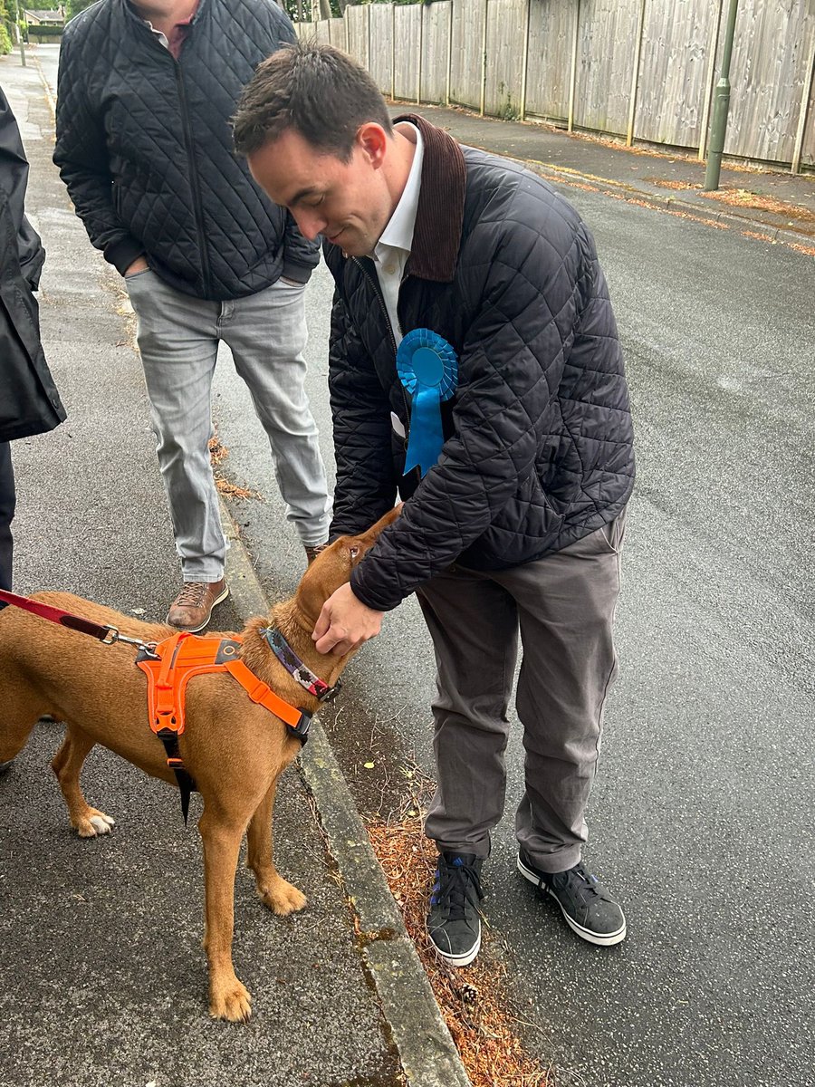 EJ_McGuinness's tweet photo. Had lots of you getting in touch with me worried about the lack of #ElectionDogs yesterday. Fear not!! https://t.co/5fX1CVJrQp