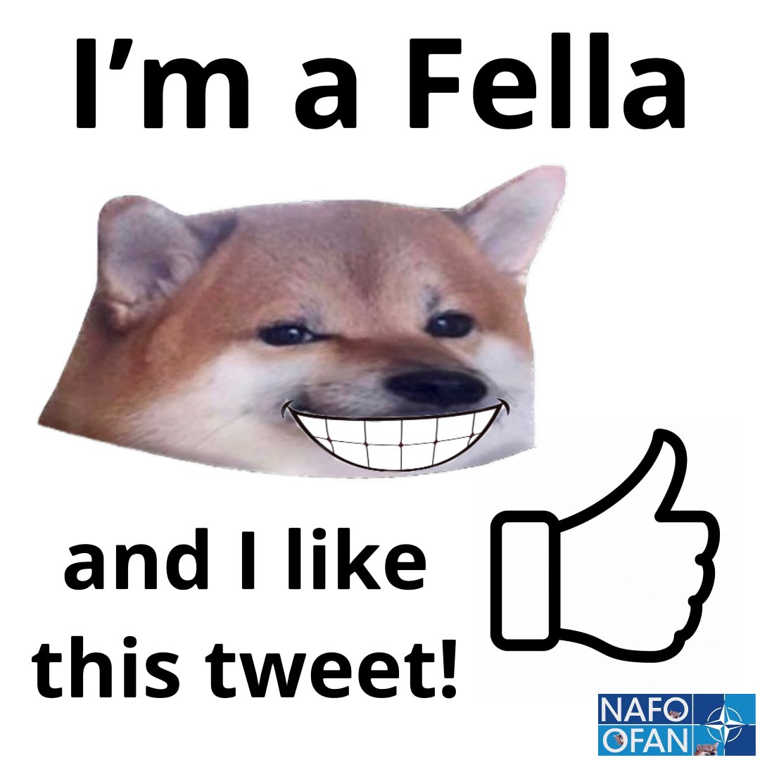 NAFOfellaLotte's tweet photo. @sadepiippu Thank you, fella 😂
#ILikeThisPost https://t.co/T8IIDagMdk