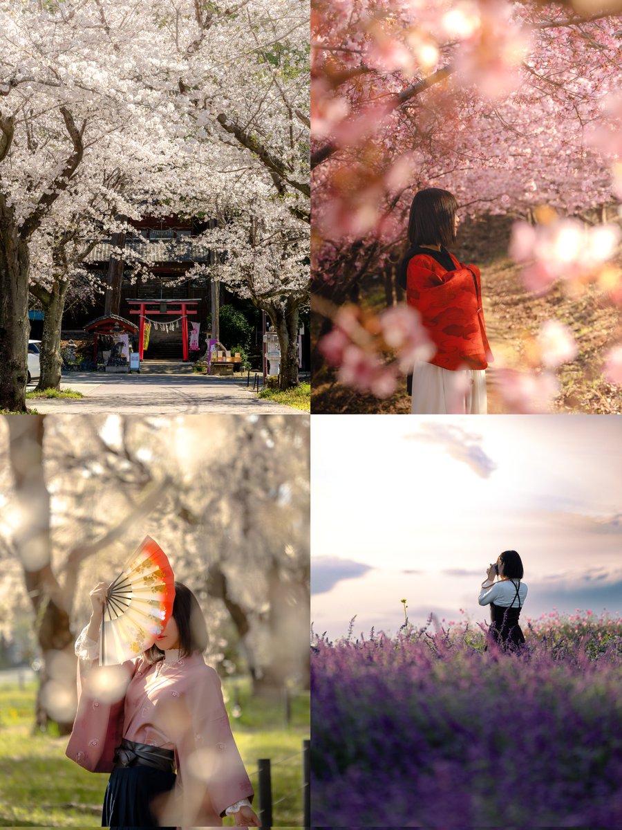 Takumi4064's tweet photo. #愛用レンズを画像付きで布教する
・Canon RF70-200F4L
これはCanonで大三元が欲しいけど高いなって悩んでる人に一度使って欲しいレンズ。あ、「でもF4だから微妙じゃない？」って思いました？
それがすごく綺麗にボケるし、描写も良い、そしてなにより大三元より10万も安い！そうこれは買いです！！ https://t.co/IZFV2GNG0a