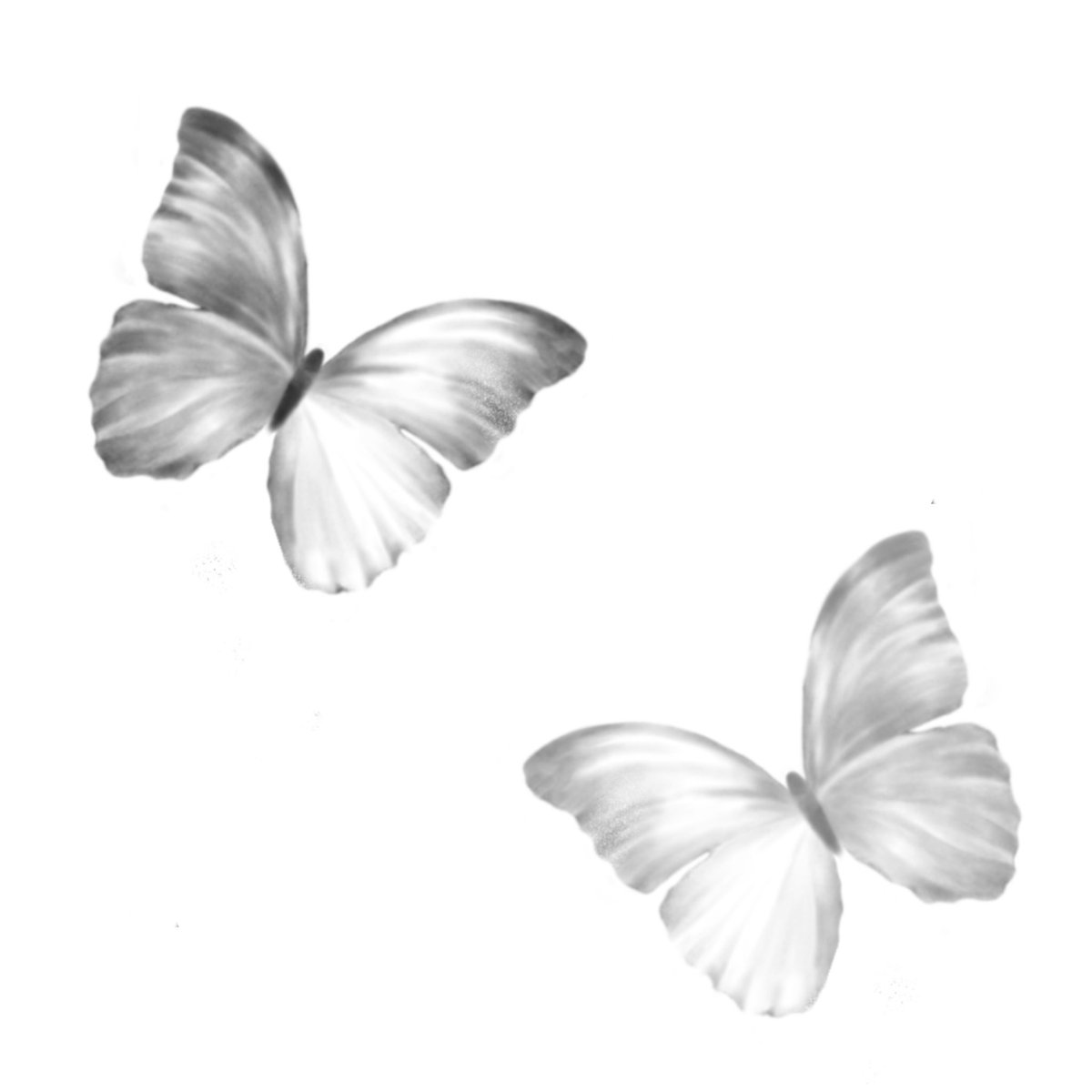 monglongam's tweet photo. 나비도 이쁘고만!
#나비패턴 #나비일러스트 #패턴디자인 #butterfly #patterndesign #나비 https://t.co/oBq8DCdcmv