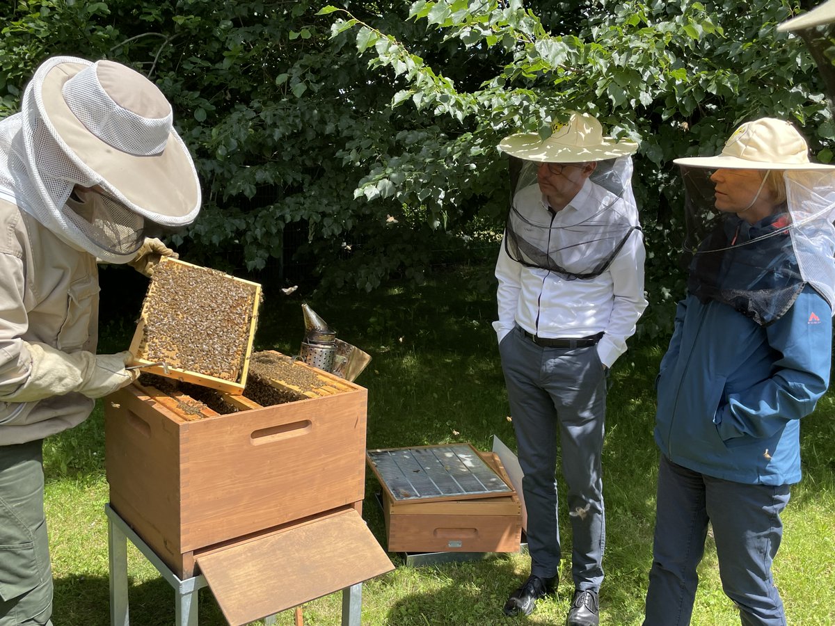 Siemens Deutschland tweet media