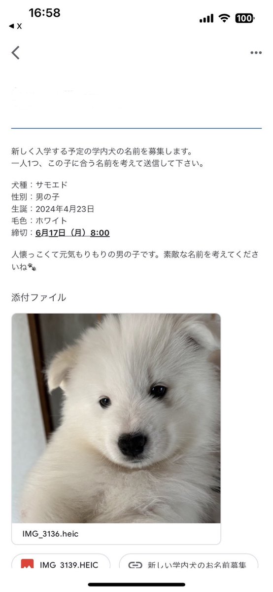 Masamune_1106's tweet photo. 娘っちの学校に入学してくるらしぃ https://t.co/fgFP7Pl8KD