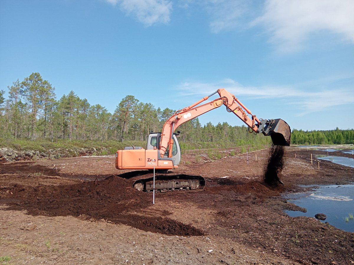 Thaisafb (@thaisafb1) on Twitter photo This month has been busy for those of us involved in the <a href="/growthfrommoss/">Kasvua sammalesta</a> project! There's been a lot of planning, moss collection, site construction, and so on. Exciting times to come! <a href="/TeemuTahvanain/">Teemu Tahvanainen</a> <a href="/TimoKumpula1/">Timo Kumpula</a> <a href="/MiguelVillosPe/">Miguel Villoslada</a> This month has been busy for those of us involved in the <a href="/growthfrommoss/">Kasvua sammalesta</a> project! There's been a lot of planning, moss collection, site construction, and so on. Exciting times to come! <a href="/TeemuTahvanain/">Teemu Tahvanainen</a> <a href="/TimoKumpula1/">Timo Kumpula</a> <a href="/MiguelVillosPe/">Miguel Villoslada</a>