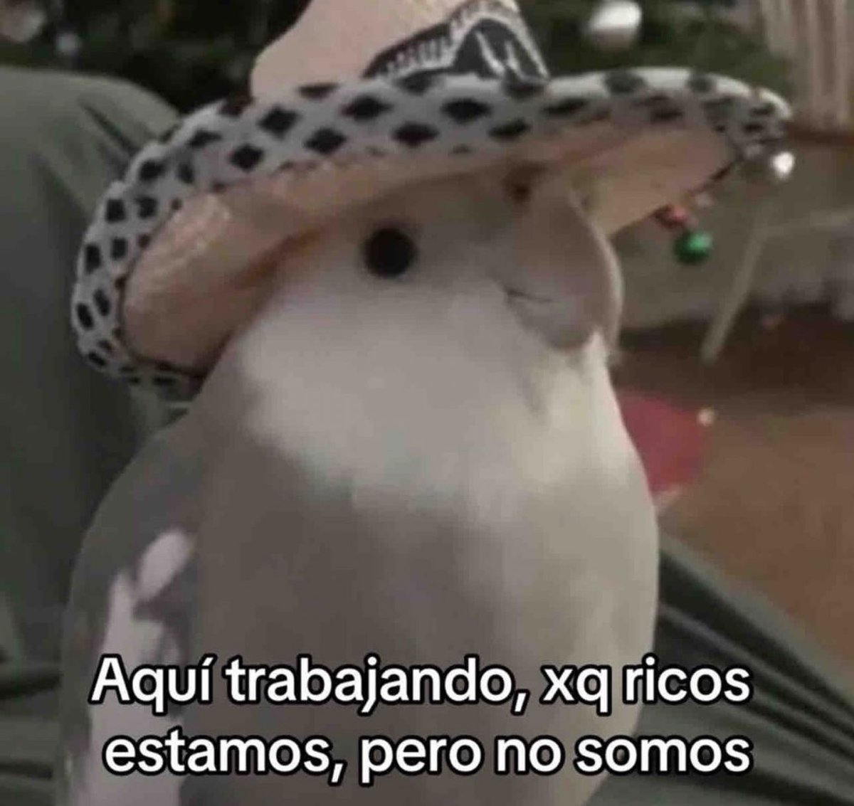 skereunpesado's tweet photo. https://t.co/RFJzzOE4o9