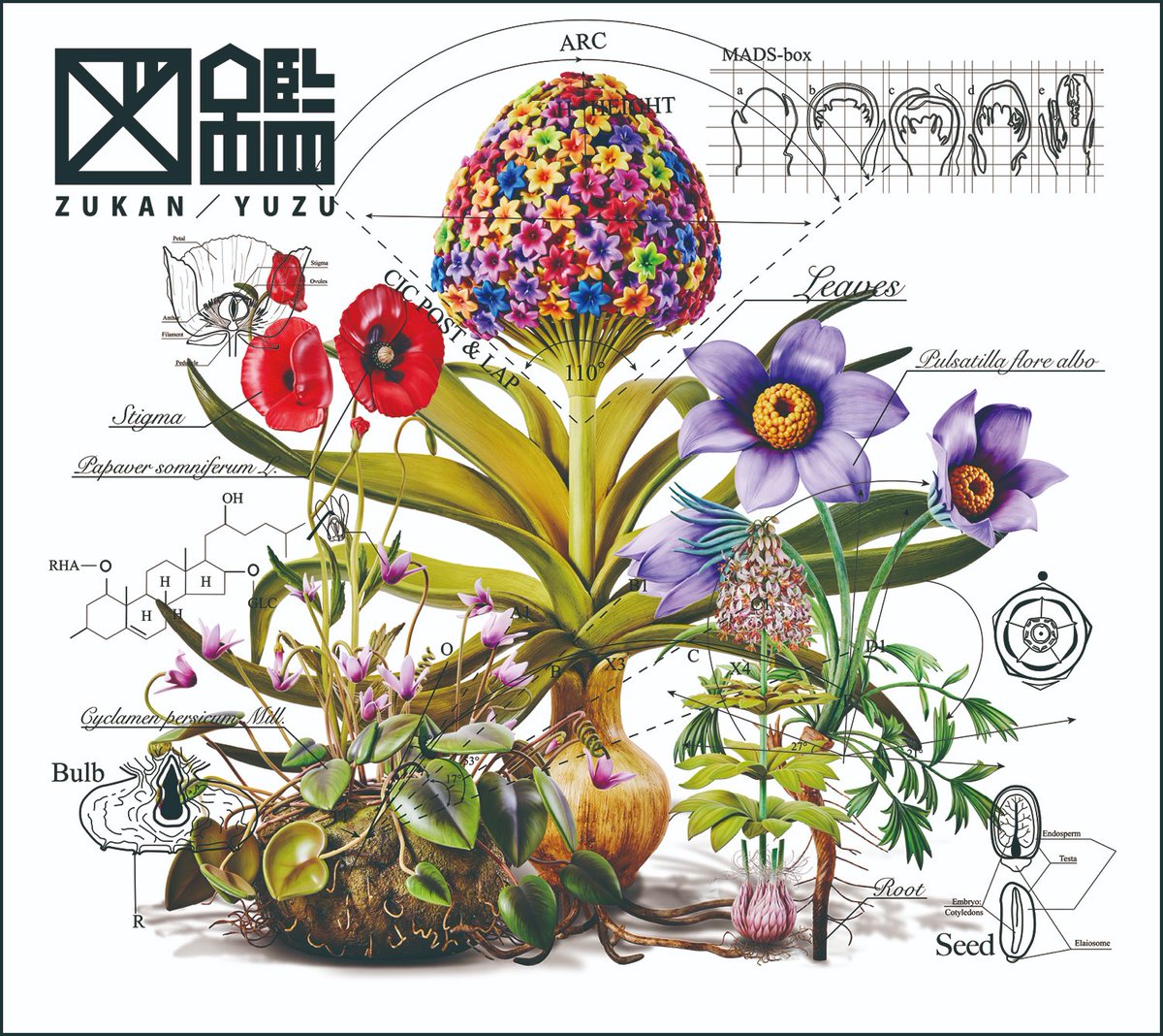 ゆず NEW ALBUM “図鑑” ━━━━━━━━━━━━ 01 Overture