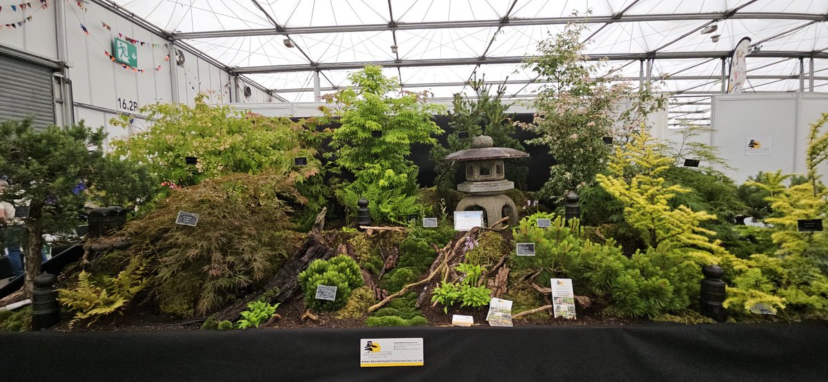 DavidCNurseries's tweet photo. If you are visiting @BBCGWLive this week, be sure to pop by our stand next to the 'Lets Talk Plants Stage' in the Floral Marquee. #Japan #Bonsai #Acer #Maple #Gardening https://t.co/zj7adzuL4y