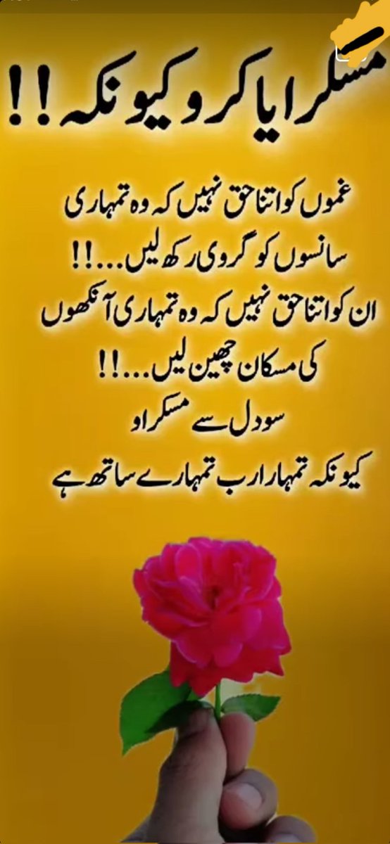 Noor Ul Ain tweet media