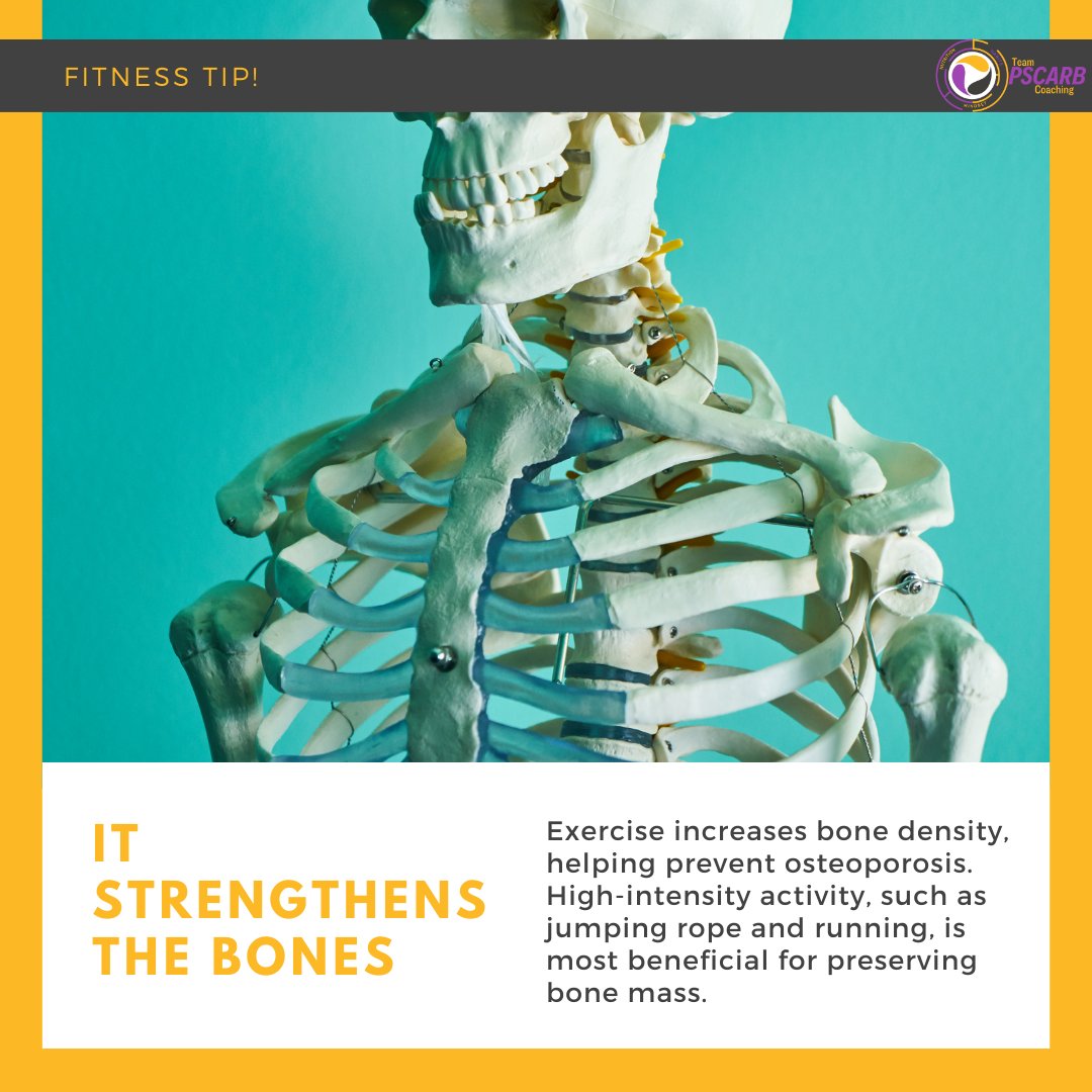 Paul Scarborough tweet media