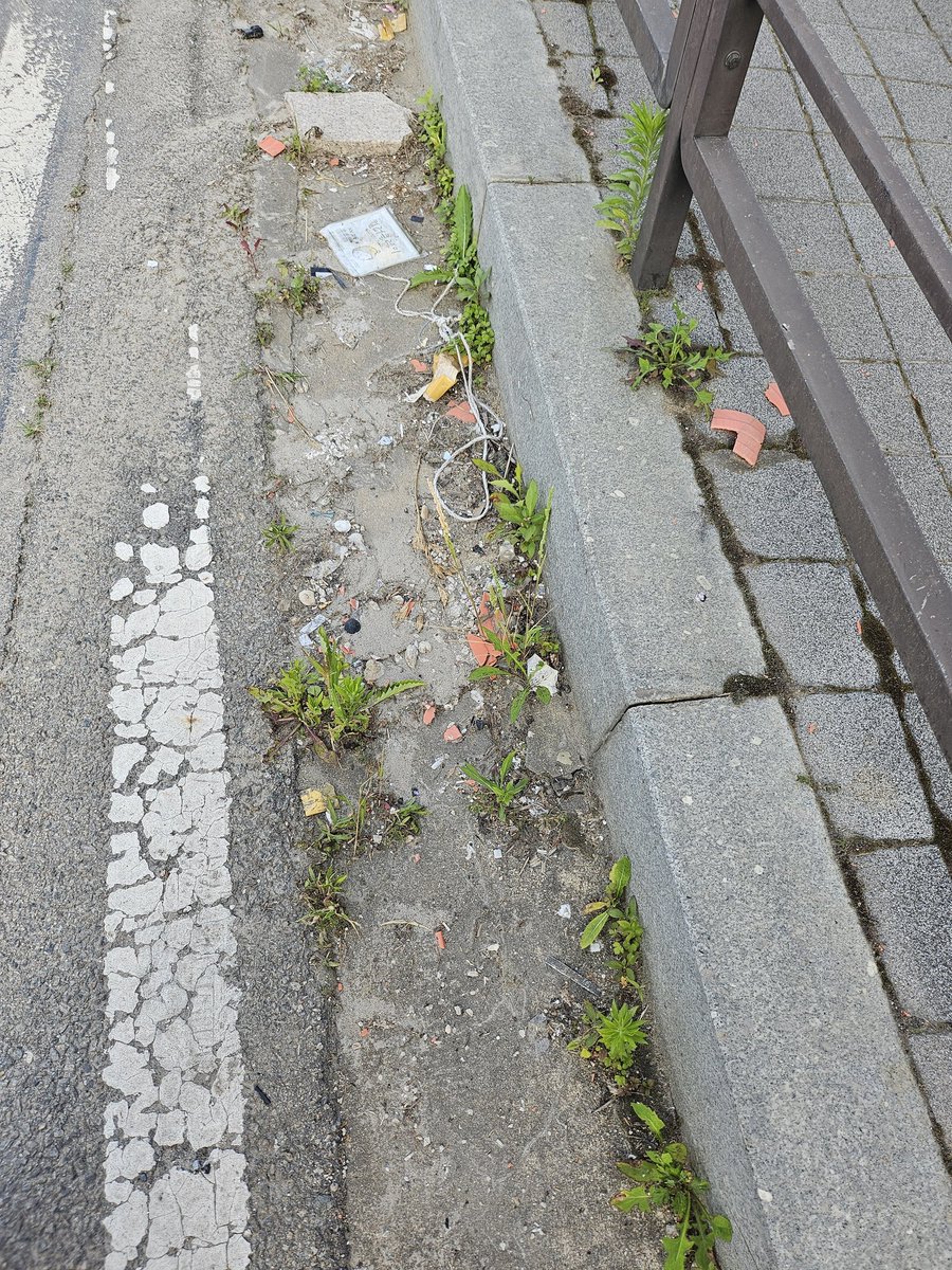 wen5835's tweet photo. 垃圾处理干净啦~
#CleanUpChallege @cleanify_vet https://t.co/wpnMGv38SP