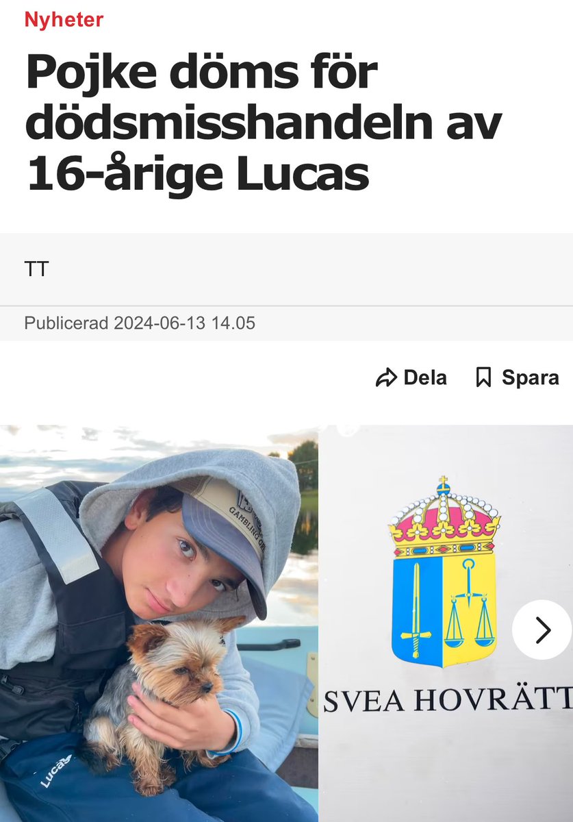 HerrHusis's tweet photo. Lucas blev brutalt misshandlad efter att ha försvarat sin vän. 

Inför sina vänner blev han slagen och sparkad, och slutligen slagen med knivskaft i tinningen, vilket försatte honom i koma. 

På sjukhuset fyllde han 17 år innan han dog av sina skador efter en månad i koma. 

Svea hovrätt bedömde dock att det inte var mord utan "grovt vållande till annans död"

Domen?

 10 månaders ungdomsövervakning.

Vilket i praktiken är ett glorifierat utegångsförbud.