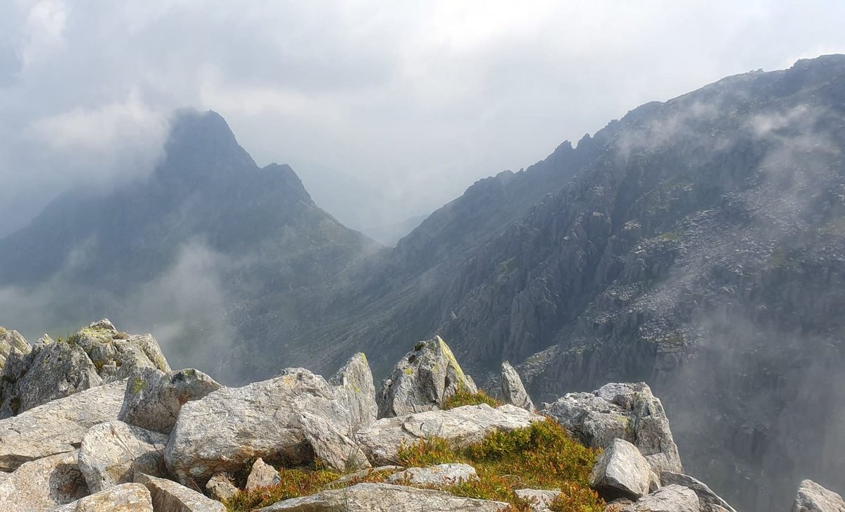 Julia Jones tweet media