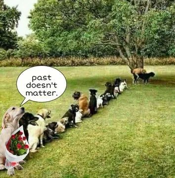 Artur Bartkevic tweet media