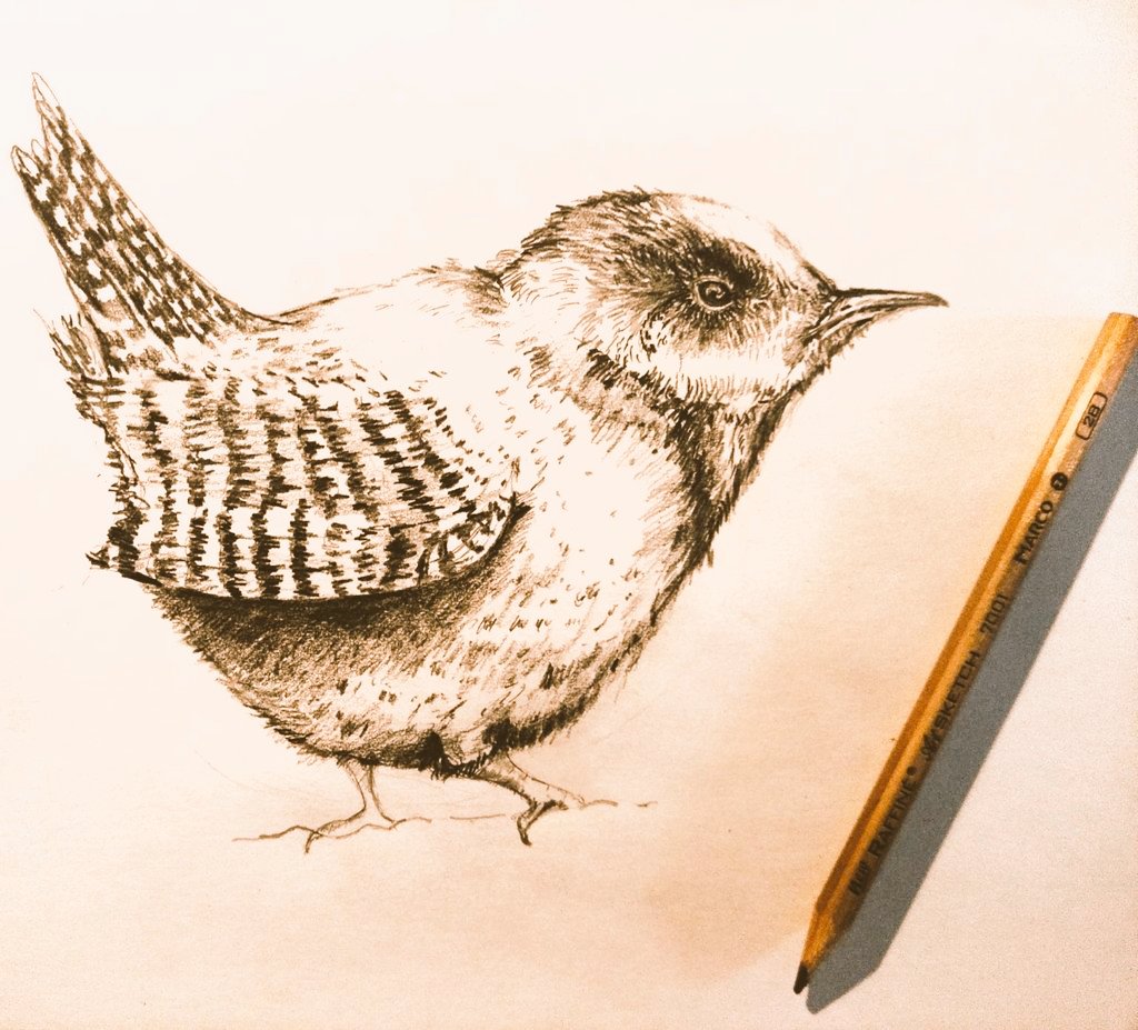 #WOMENSART tweet media