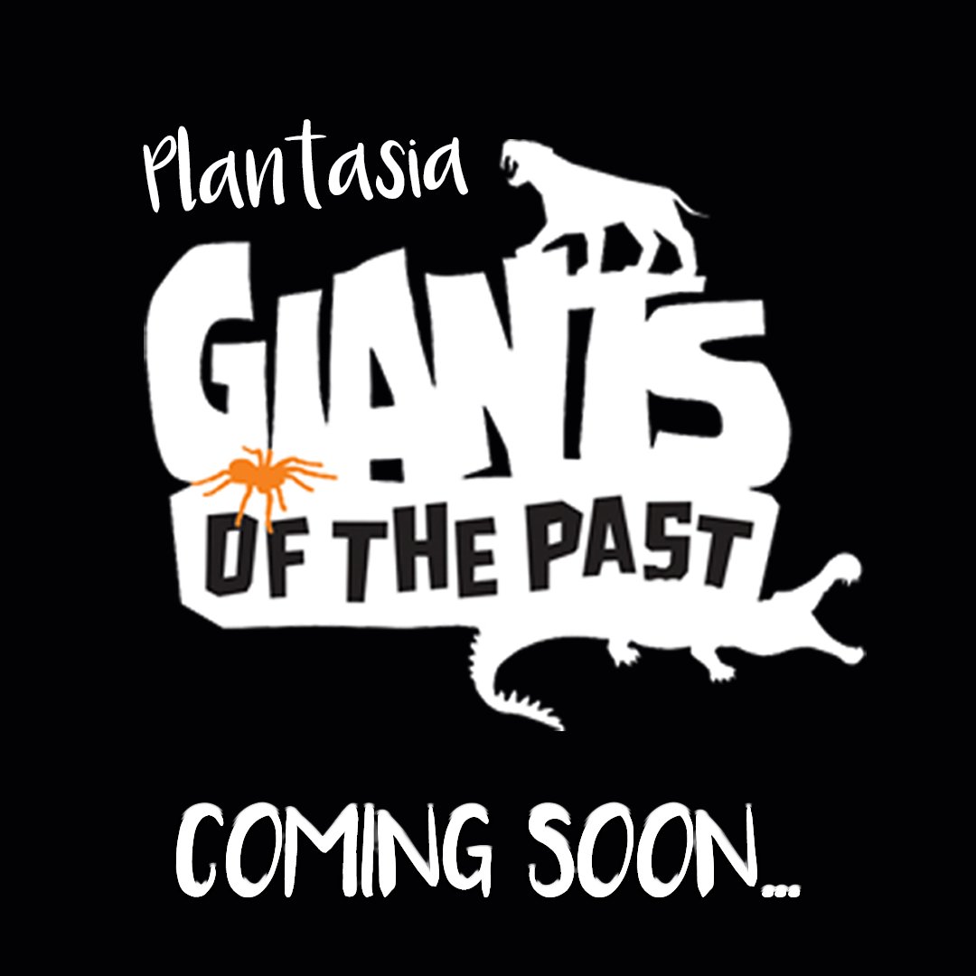 Plantasia6's tweet photo. #ComingSoon!...Get ready for an epic journey back in time at Plantasia Tropical Zoo!
#GiantsOfThePast #GOTP #PlantasiaSwansea https://t.co/nu7X2umWOW