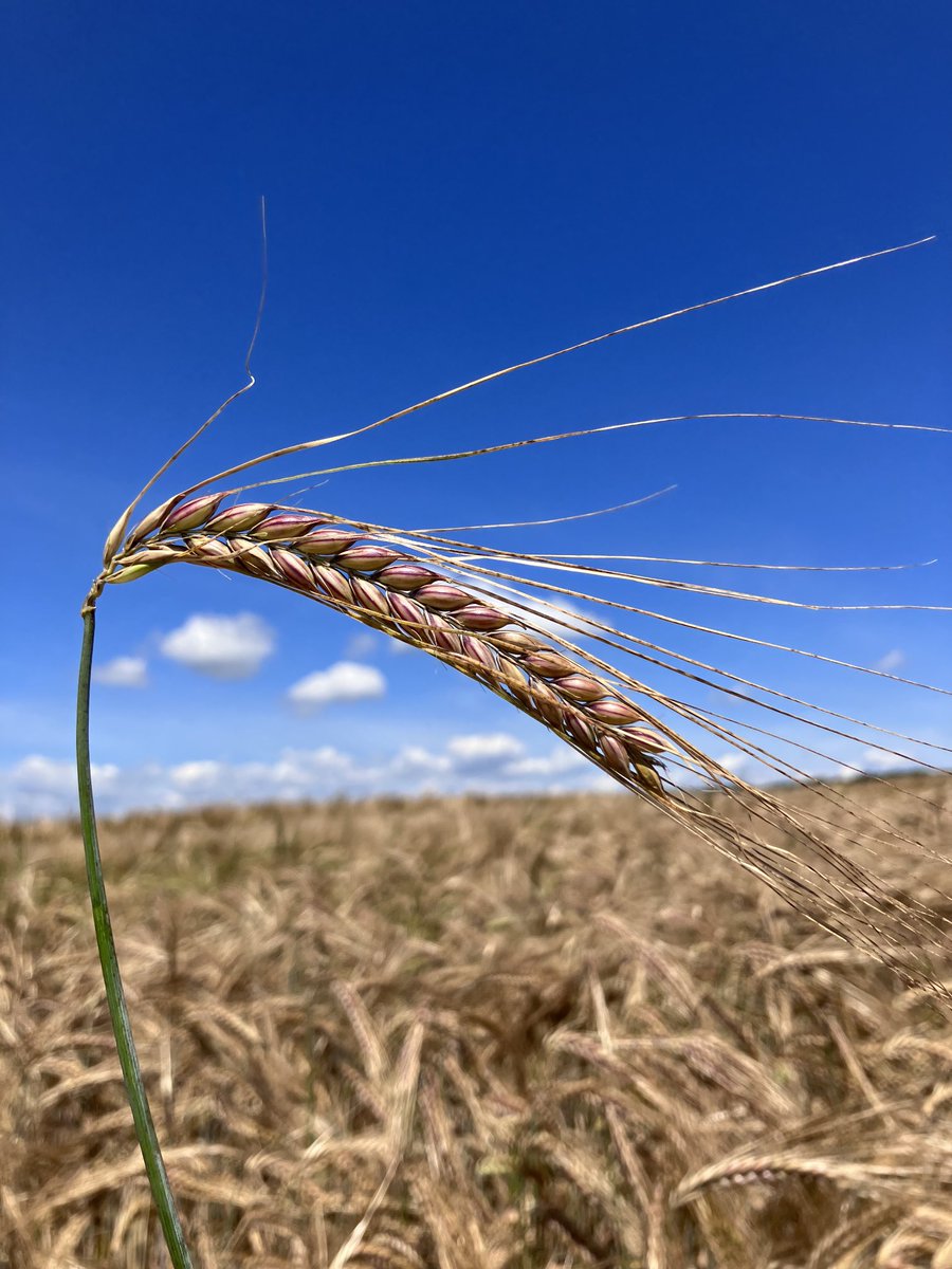 Jonathan Thévenet tweet media