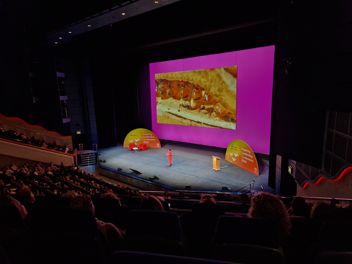 Well I never knew that about meerkats #ilconf24