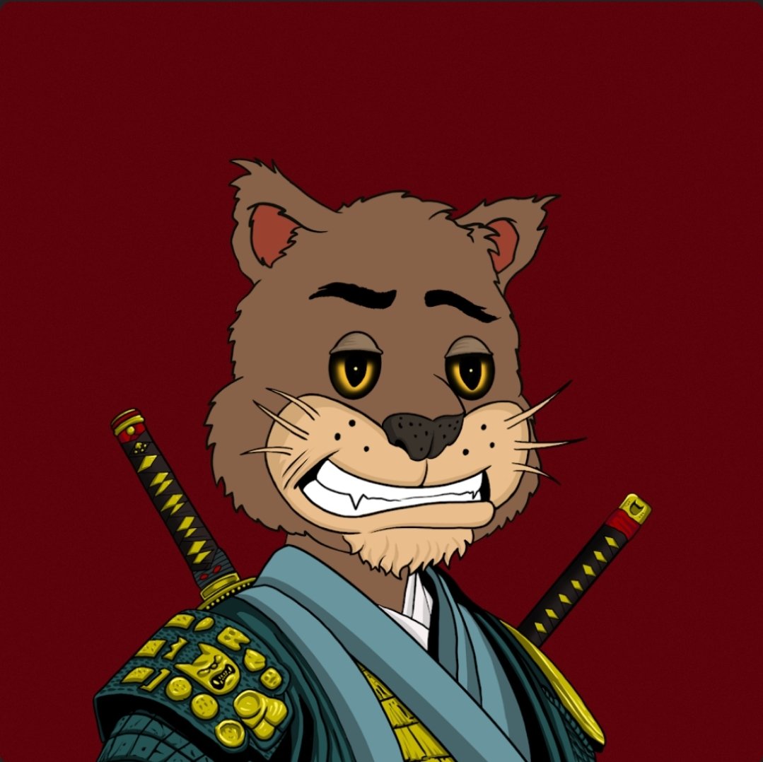 I'vE BeEn AsKeD tO gO oUt AnD PlAy, BuT I SaY nO BeCaUsE I wAnT aNoThEr StRAY!
<a href="/StraysOnSOL/">The Strays</a>
#TheStrayWay #Strayis