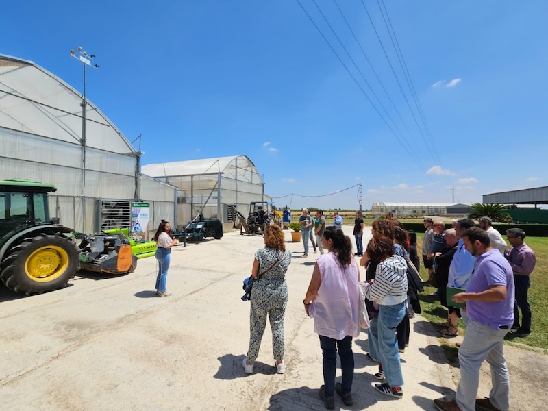 REVISTAFYH's tweet image. @IfapaJunta traslada su experiencia para #compostar los residuos orgánicos de #frutales 

Se ha instalado una #planta #experimental de #compostaje en el centro @IfapaJunta  Las Torres para transferir el conocimiento a los #agricultores

fyh.es/ifapa-traslada…