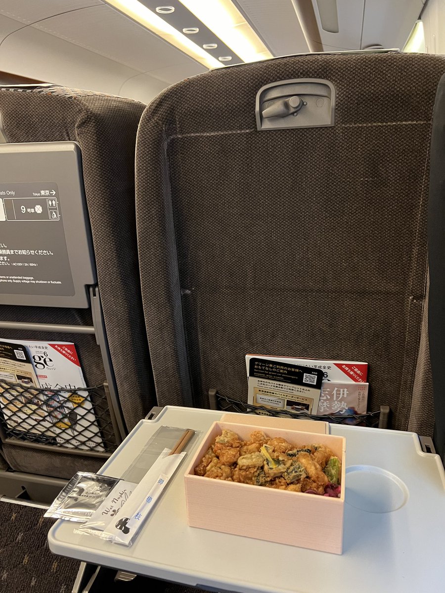 東京から愛知に帰ります！
大人力を発揮してグリーン車🚄
…のぞみではなくこだまです🚅
ありがとう東京！