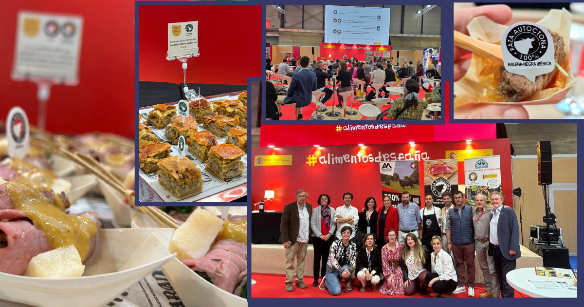 ERFPAnGR's tweet photo. 🧀🍷 At Spanish 2024 Gourmet Salon, held in Madrid, the 100% Autochthonous Breed logo showcased Spain's rich breed diversity and quality.
Sensory synergies between businesses were made and we all learned the importance of local breeds!
#ERFP #Spain #AutochthonousBreed https://t.co/59Z1rLX0NI