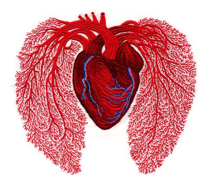 #WOMENSART tweet media