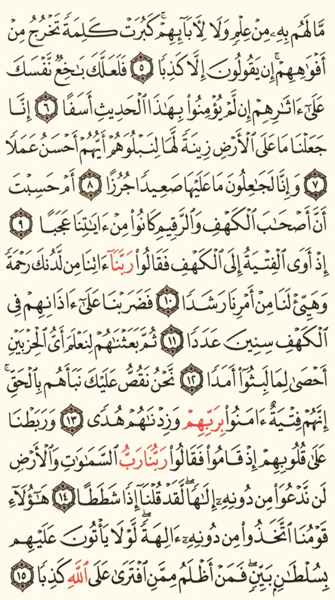 iiN_55i's tweet photo. نور مابين الجمعتين🤍. . https://t.co/4Yo8ScKVEj